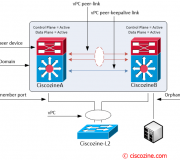 vPC-aka-Virtual-PortChannel-in-deph