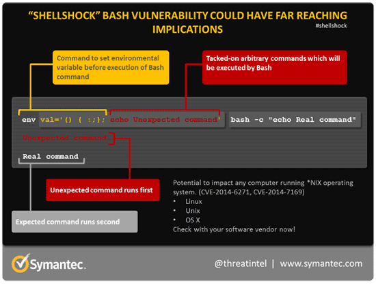 shellshock-deph